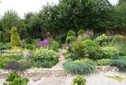 ЛАНШАФТНЫЙ ДИЗАЙН 4  .jpg