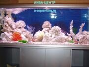 Аквариум ПСЕВДОМОРЕ оформление дизайн