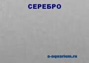 Палитра цветов ДСП и пластика   СЕРЫЙ